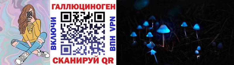 Галлюциногенные грибы мицелий  Купить  Дмитровск 